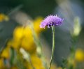 232 foto MVervoorn IMG_5481